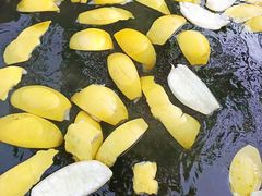-深业半汤御泉庄温泉