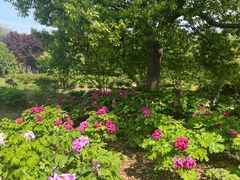 -合肥三国新城遗址公园