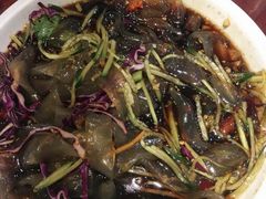 东北大拉皮-邵年鸽(杨庄店)