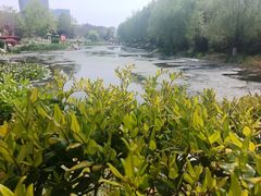 -丁家河公园