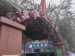 -托克逊老四号餐厅