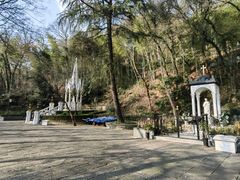 -上海佘山国家森林公园西佘山园