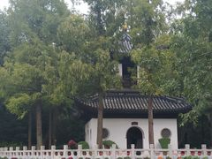 -汇龙潭