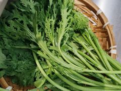蓬蒿-生活如沸·顺德水牛奶火锅(大学路店)