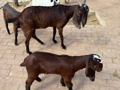 -水上乐园·欢乐世界