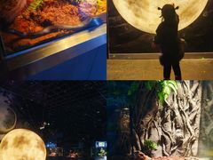 -顺德南宏海立方海洋公园