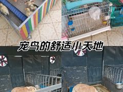 -凯德广场(金牛店)