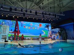 -三亚海昌梦幻海洋不夜城