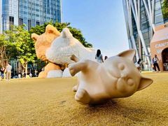 -深圳湾万象城