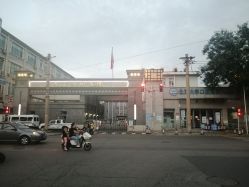 点击看大图 -阿强造型