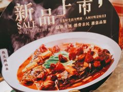 -大鸭梨(天通西苑店)