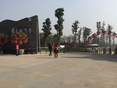 -秀丽东方