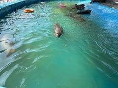 -北戴河圣蓝海洋公园