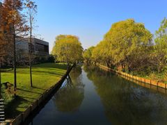 -新江湾城公园