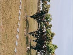 -鹦鹉洲湿地公园