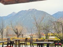 -林芝工布庄园希尔顿酒店-猎味中餐厅