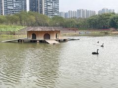 -顺峰山公园