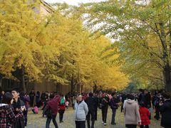 -辽宁大学(崇山校区)