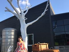 -鹿境梅花鹿生态园区