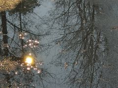 -洋湖国家湿地公园