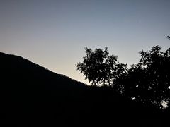 -梧桐山风景名胜区