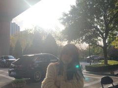 -星光岛