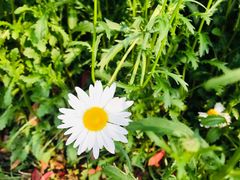 -昆山城市生态森林公园