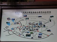 -武陵山森林公园