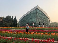 -石家庄市植物园