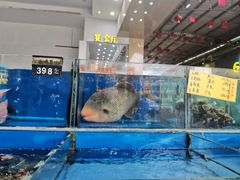 水产区-喜相逢海鲜美食城(五邑平价农副产品批发市场店)