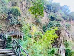 -泽雅七瀑涧景区