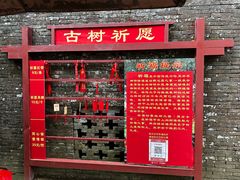 -蔡家宅