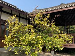 -武汉园博园(武汉自然博物馆)