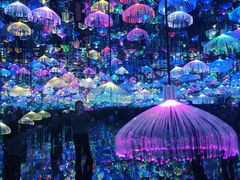 -天津梵高星空艺术馆(天河城旗舰店)