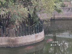 -深圳野生动物园