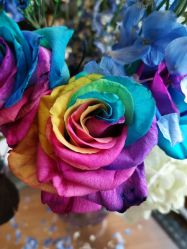 -轩舞汇·爵士舞街舞训练营