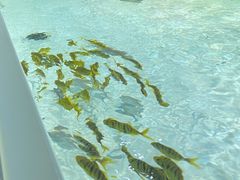 -苏州海洋馆