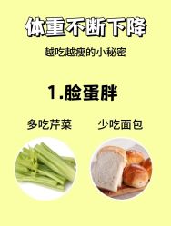 -Fundi张玉珊修身堂·indiba·BTL科技瘦身