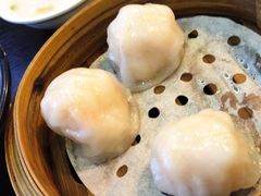 添运来虾饺皇-添运来(茶园奥园广场店)