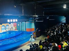 -重庆欢乐海底世界