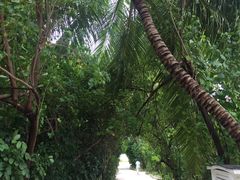 -中央格兰德岛温泉度假酒店 - 全包