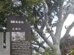 -神农山景区