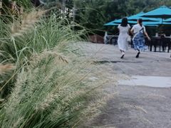 -华农酸奶文化馆