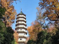 -灵谷景区