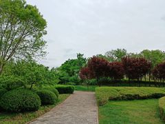 -郭记老汉口热干面