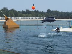 -秦皇岛乐岛海洋王国