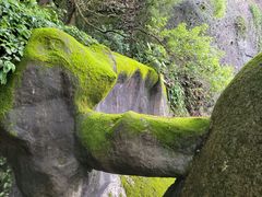 -青芝山风景名胜区
