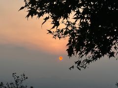 -惠山国家森林公园