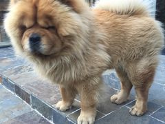 -看见远方·莫干遥远的山民宿