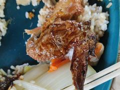 -Tangled Tree Tavern 老藤树食栈